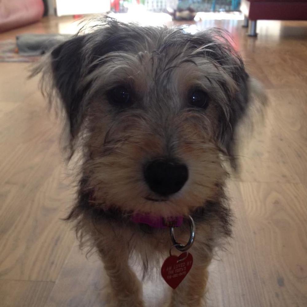 Meet your Posher, Makes-things